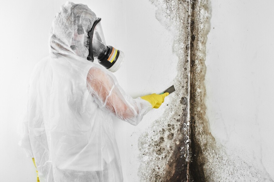 Mold Remediation by Flood Pros USA