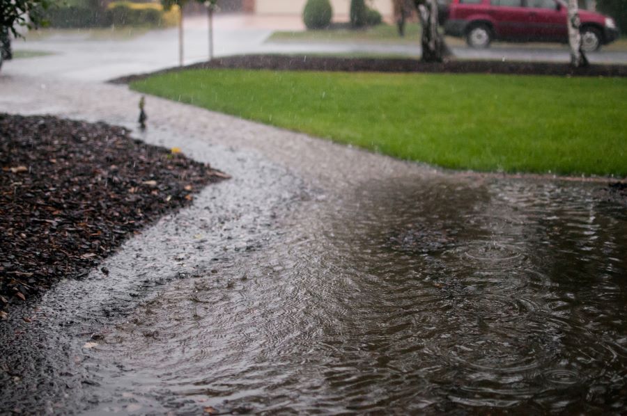 House flooding from sprinkler